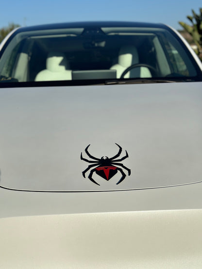 Spider for Tesla Model Y and 3