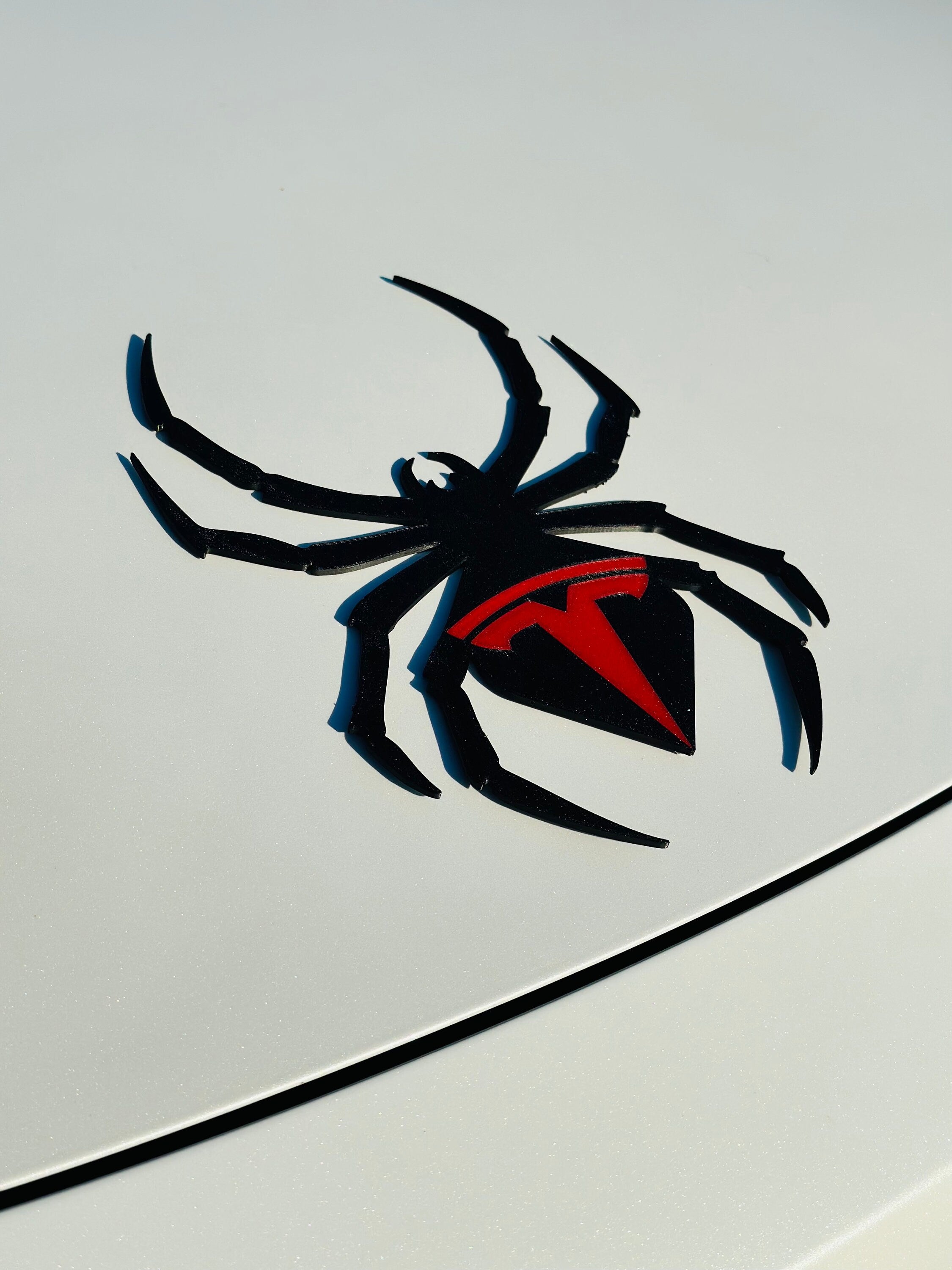 Spider for Tesla Model Y and 3