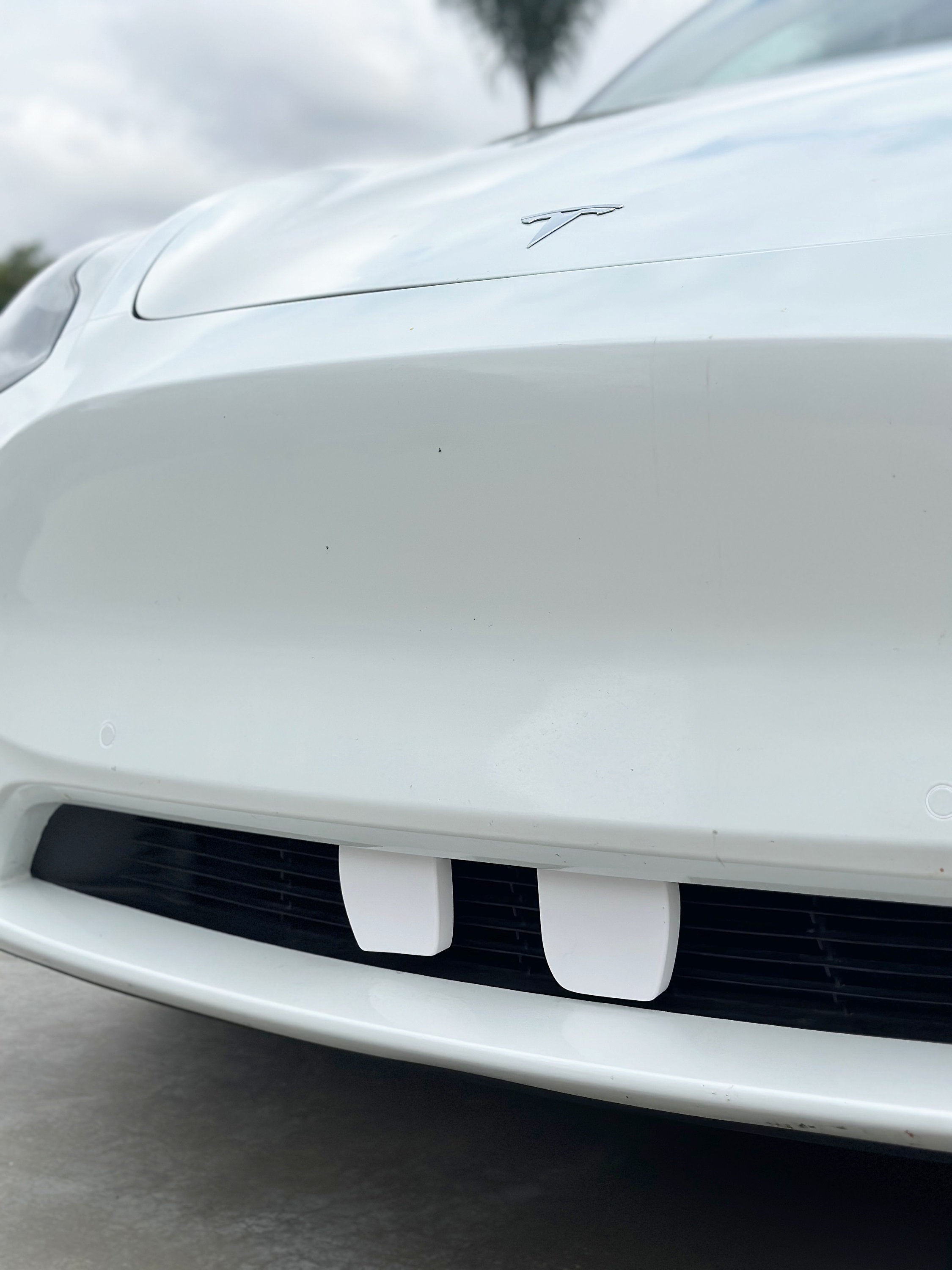 Goofy Teeth for Tesla