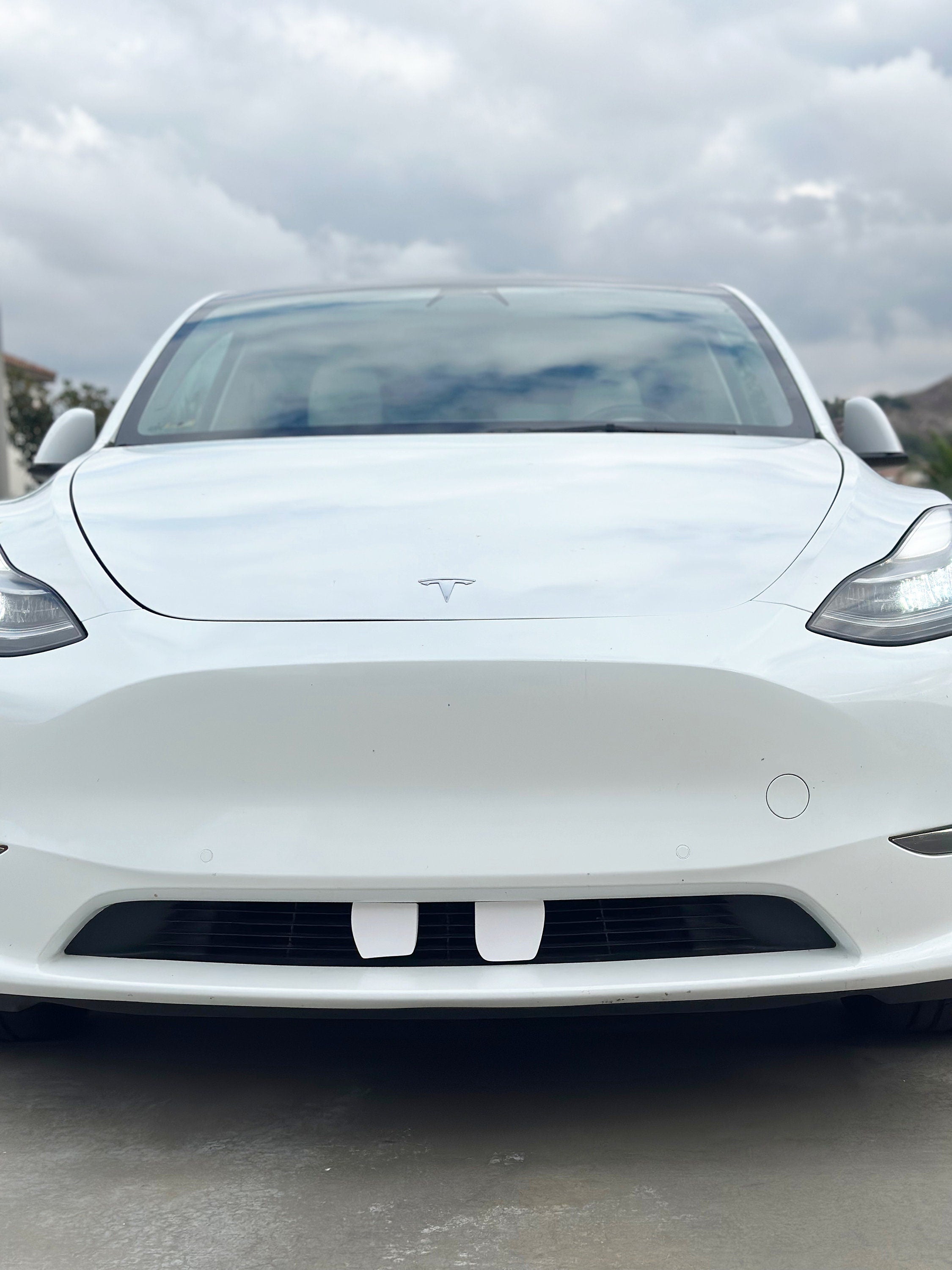 Goofy Teeth for Tesla