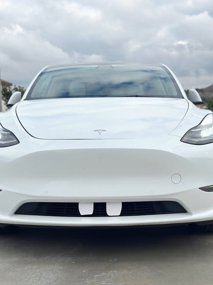 Goofy Teeth for Tesla