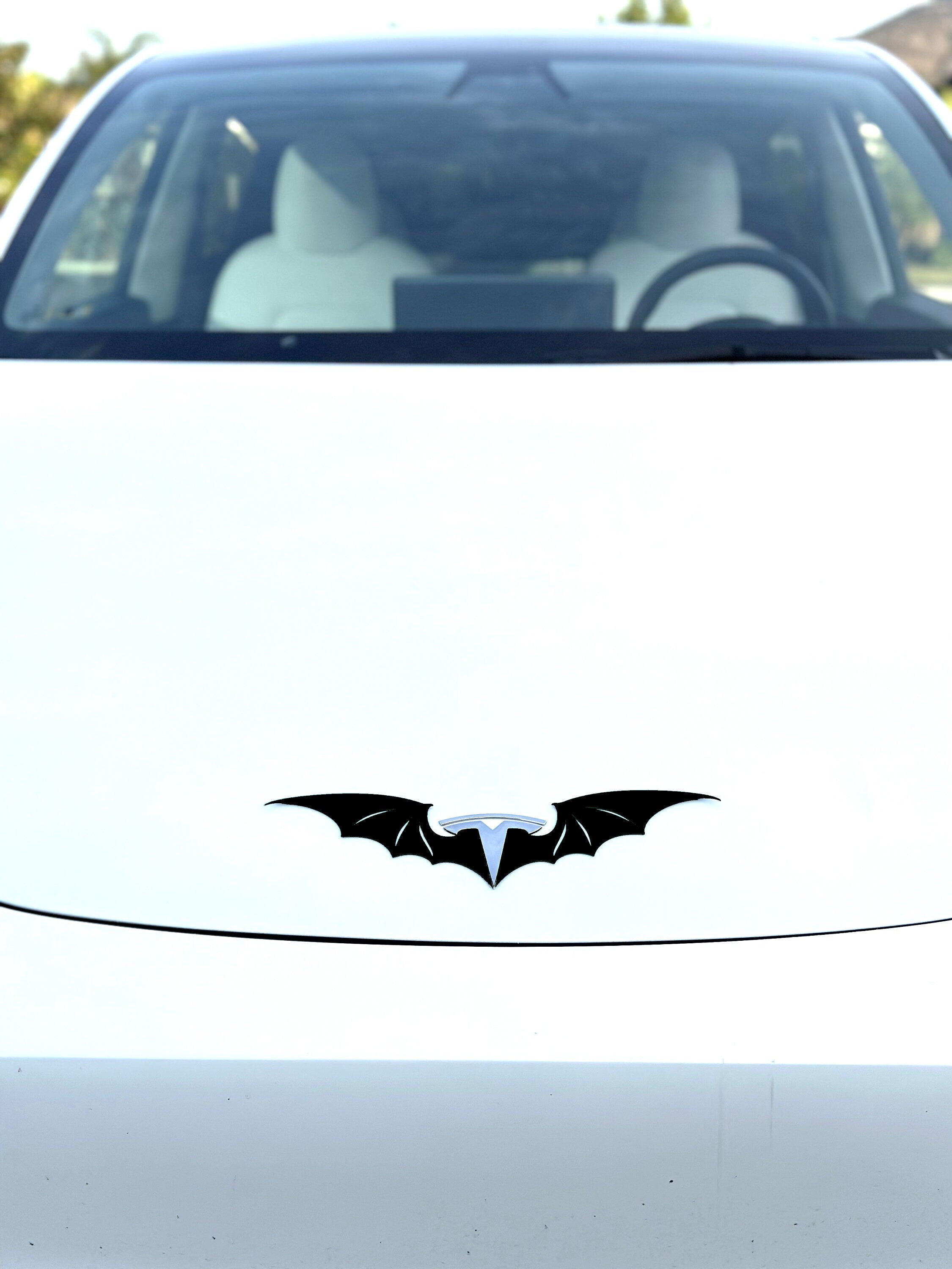 Male Dragon Wings for Tesla Emblem