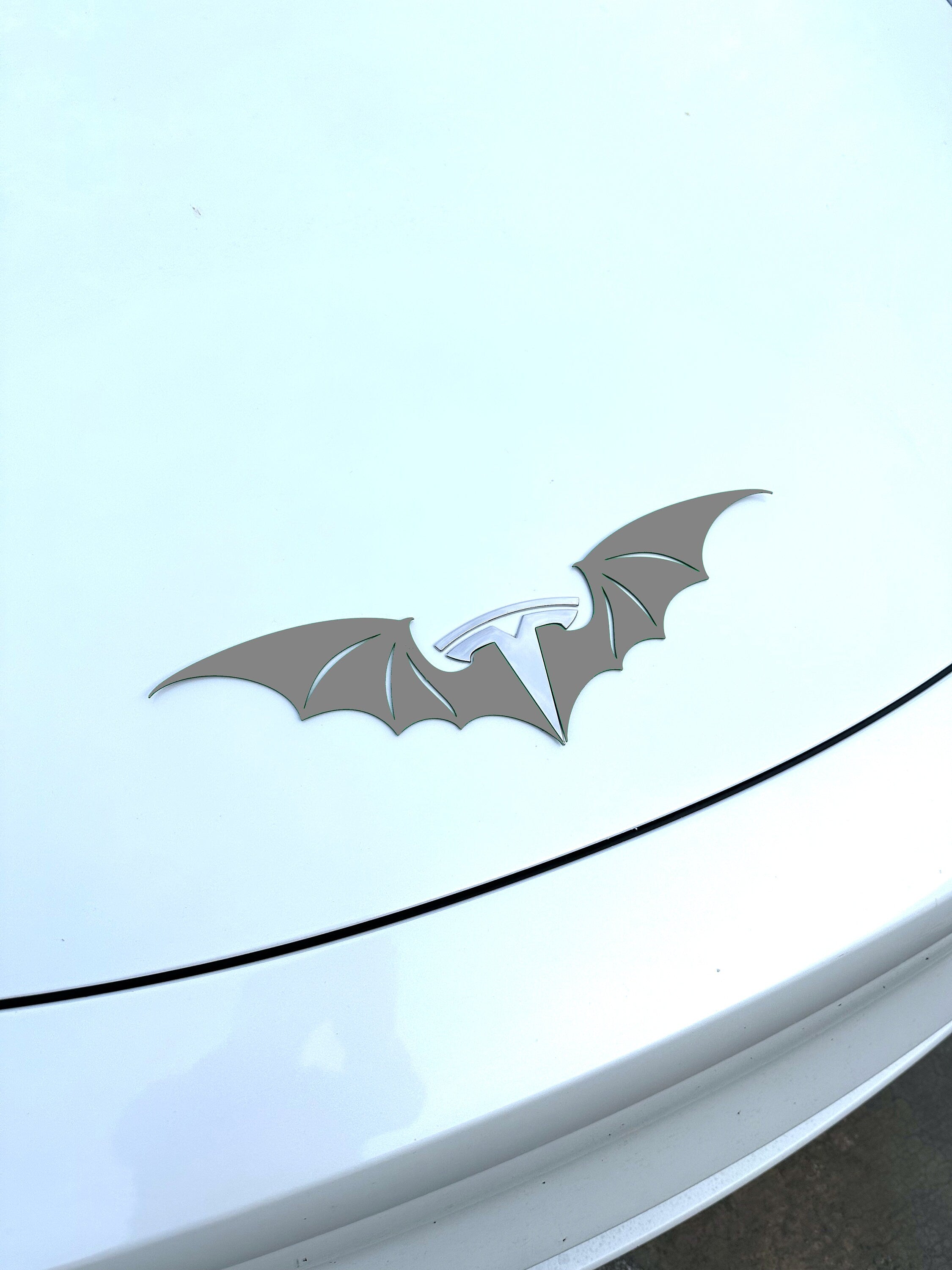 Male Dragon Wings for Tesla Emblem