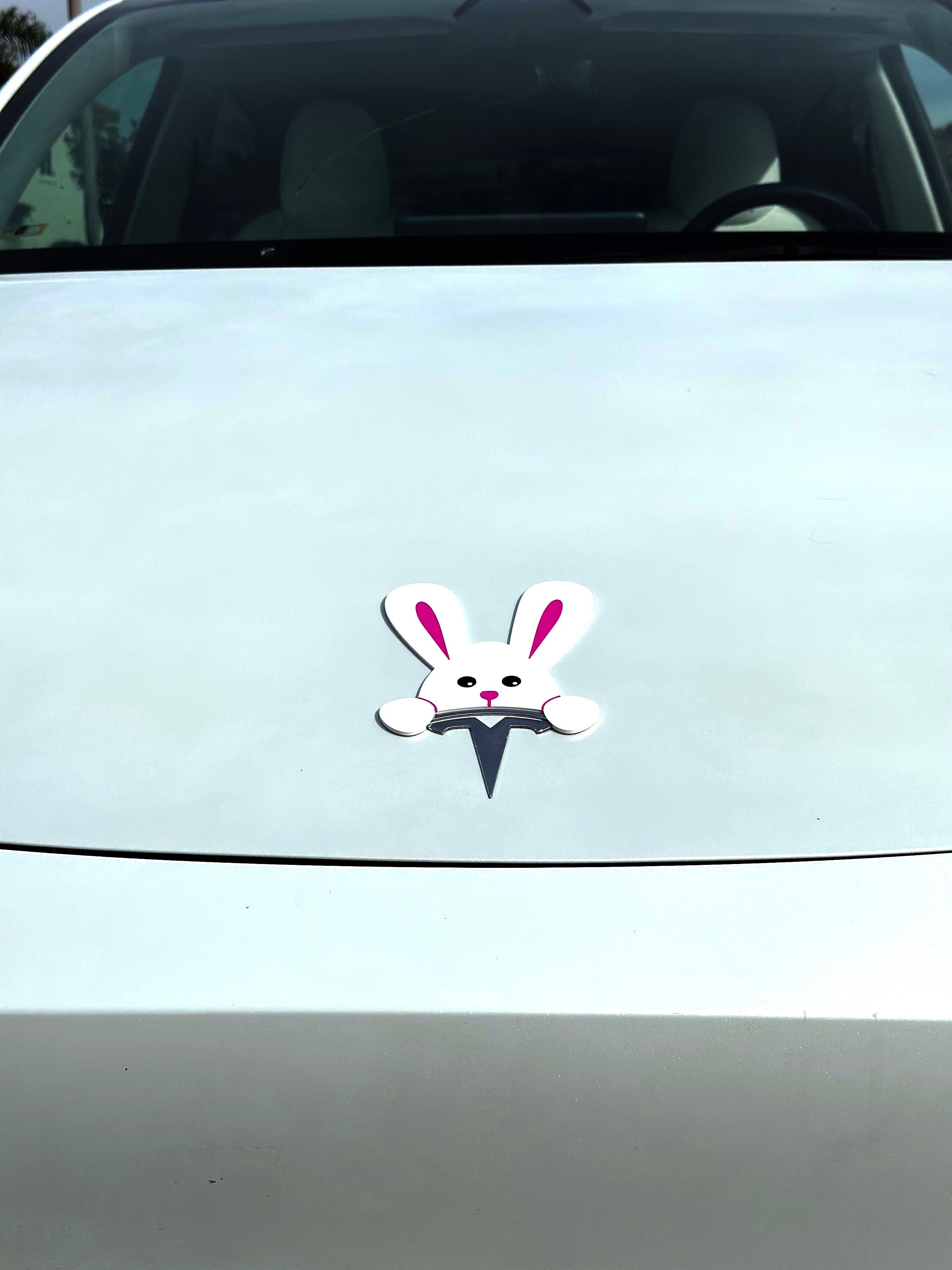 Easter Bunny for Tesla Emblem