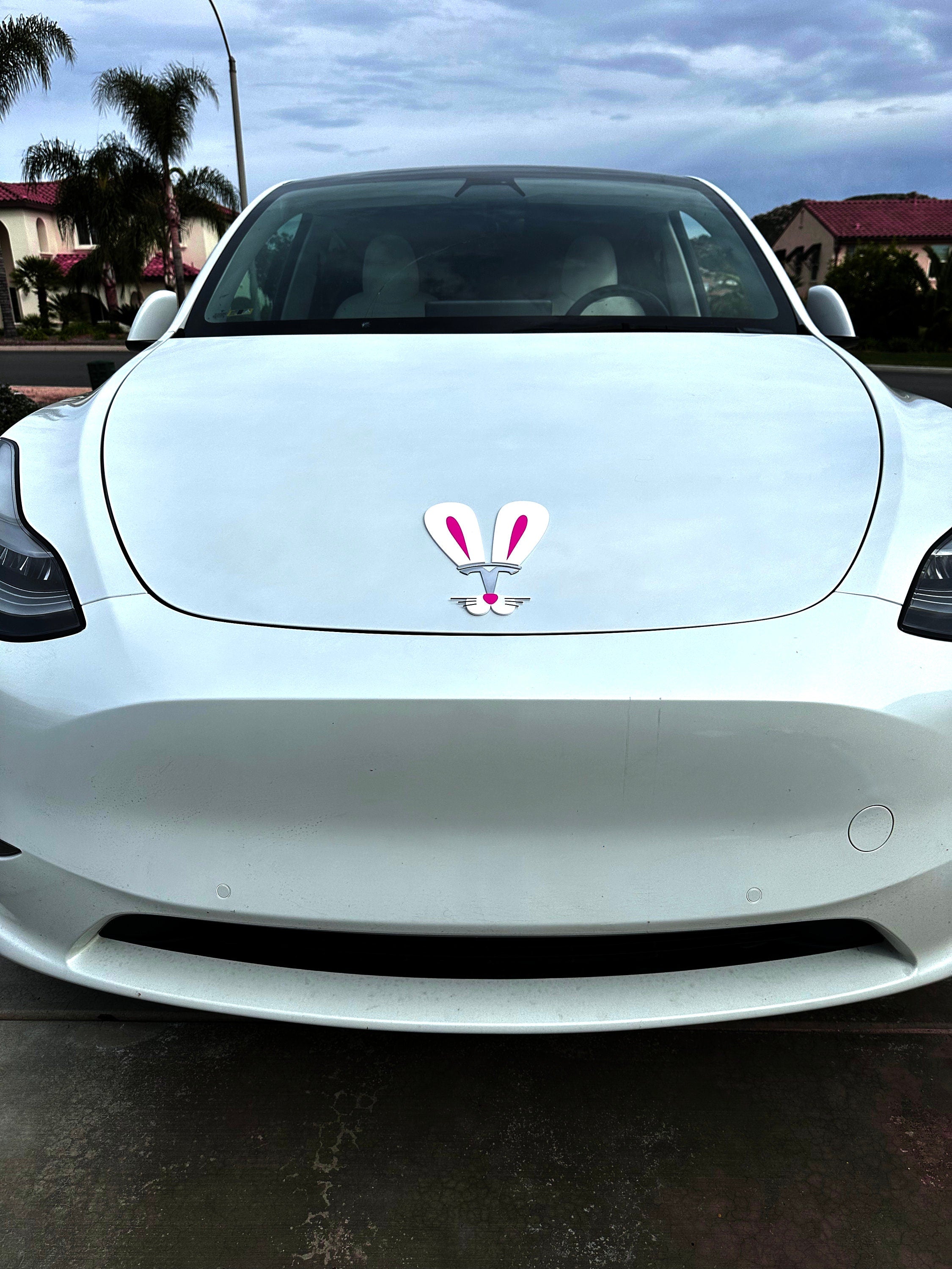 Easter Bunny Ears for Tesla Emblem