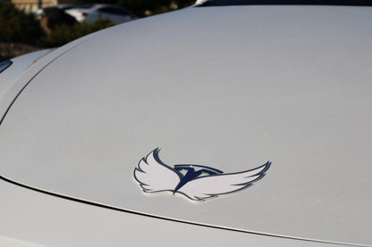 Angel Wings for Tesla