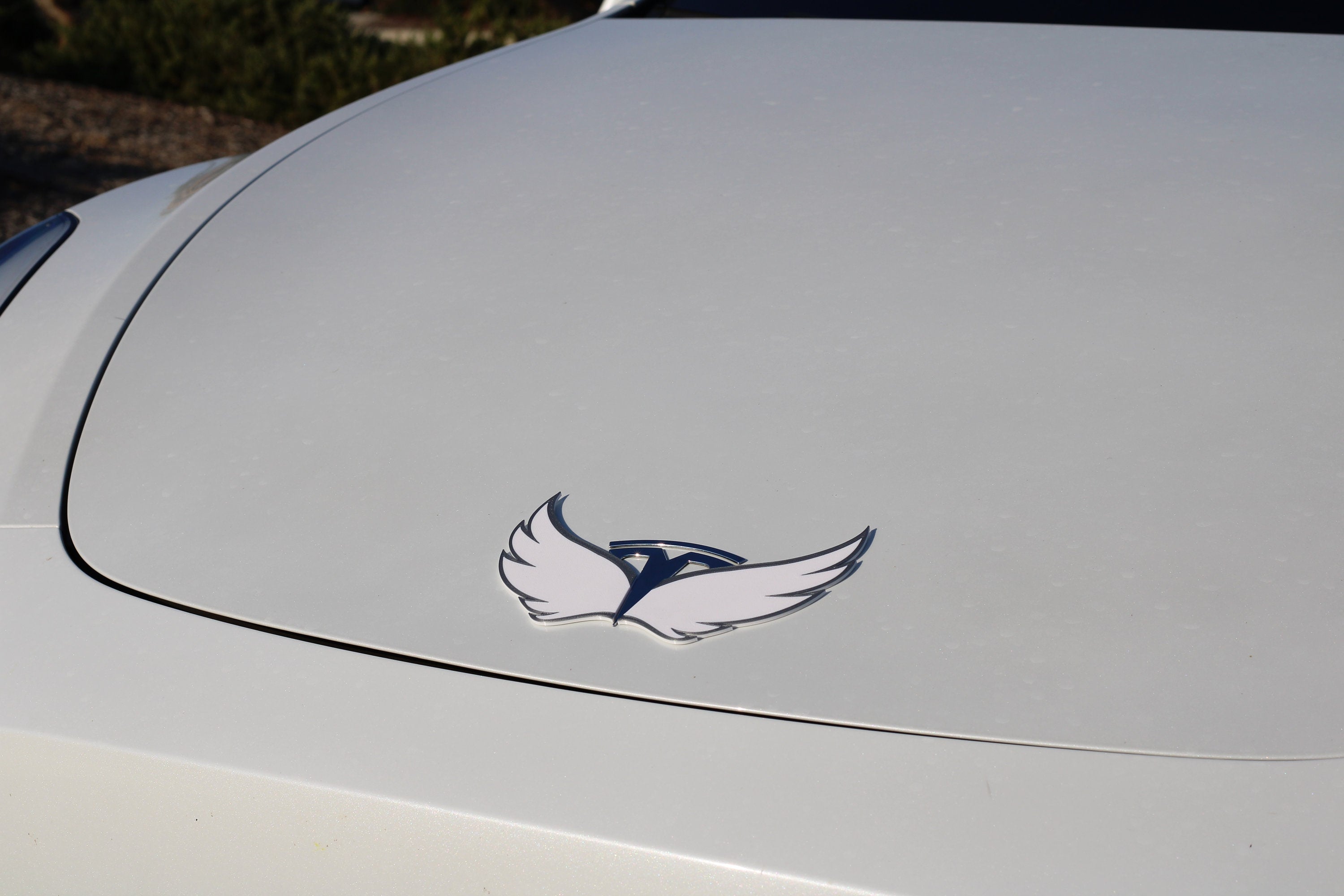 Angel Wings for Tesla