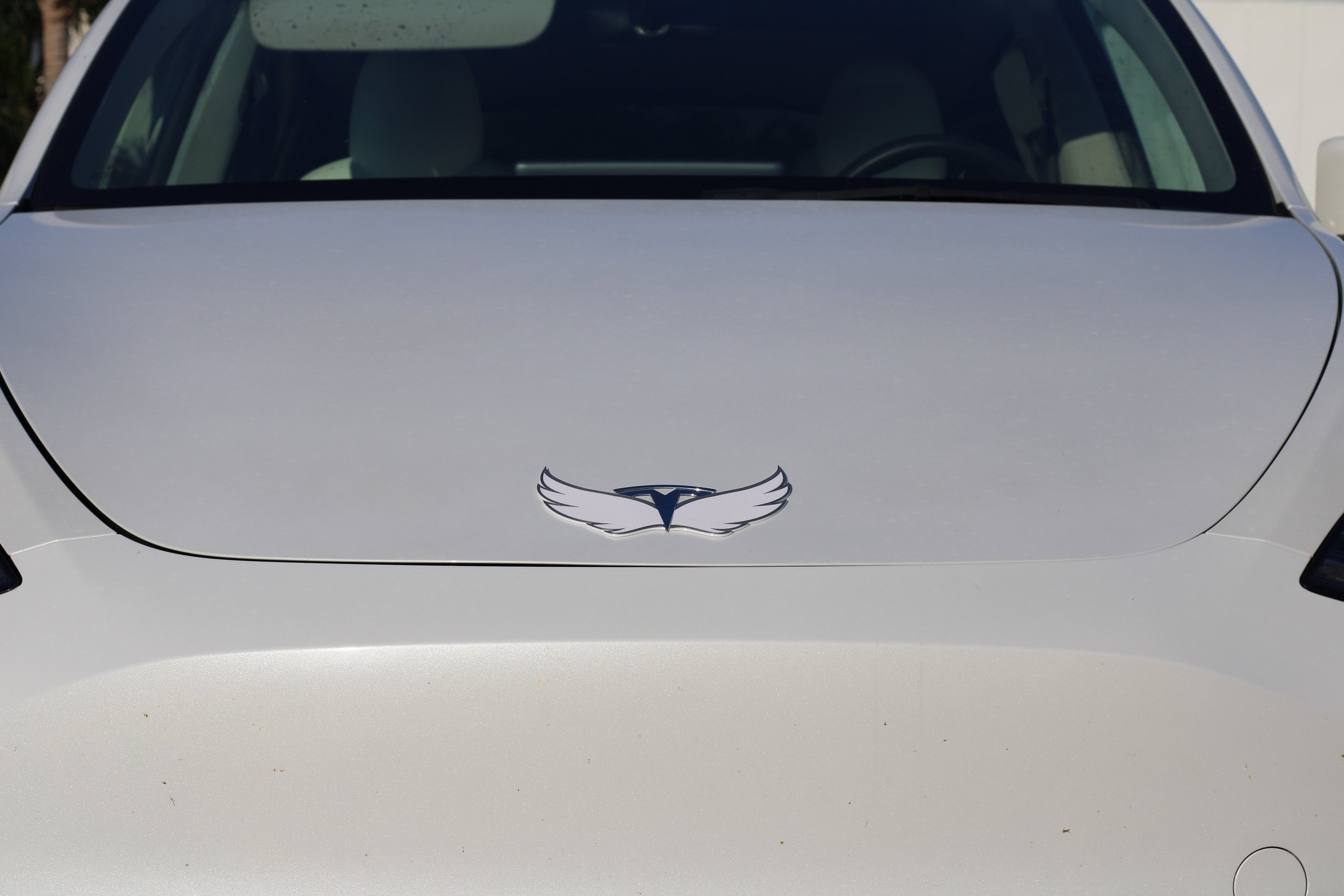 Angel Wings for Tesla