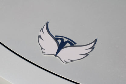 Angel Wings for Tesla