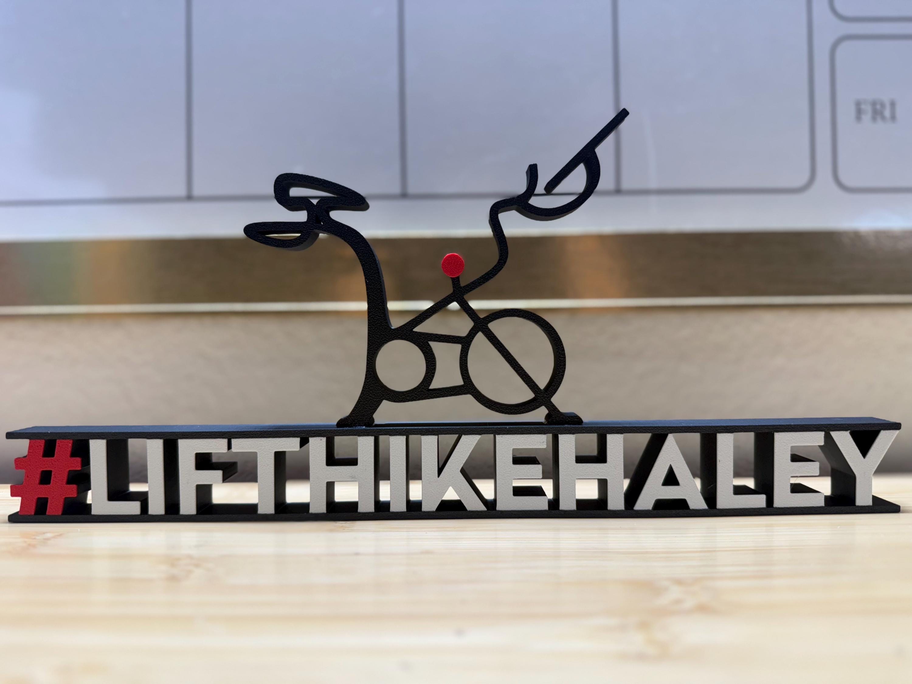 Custom Leaderboard Name Desktop for Peloton Fanatics. Personalized! ALL CAPS