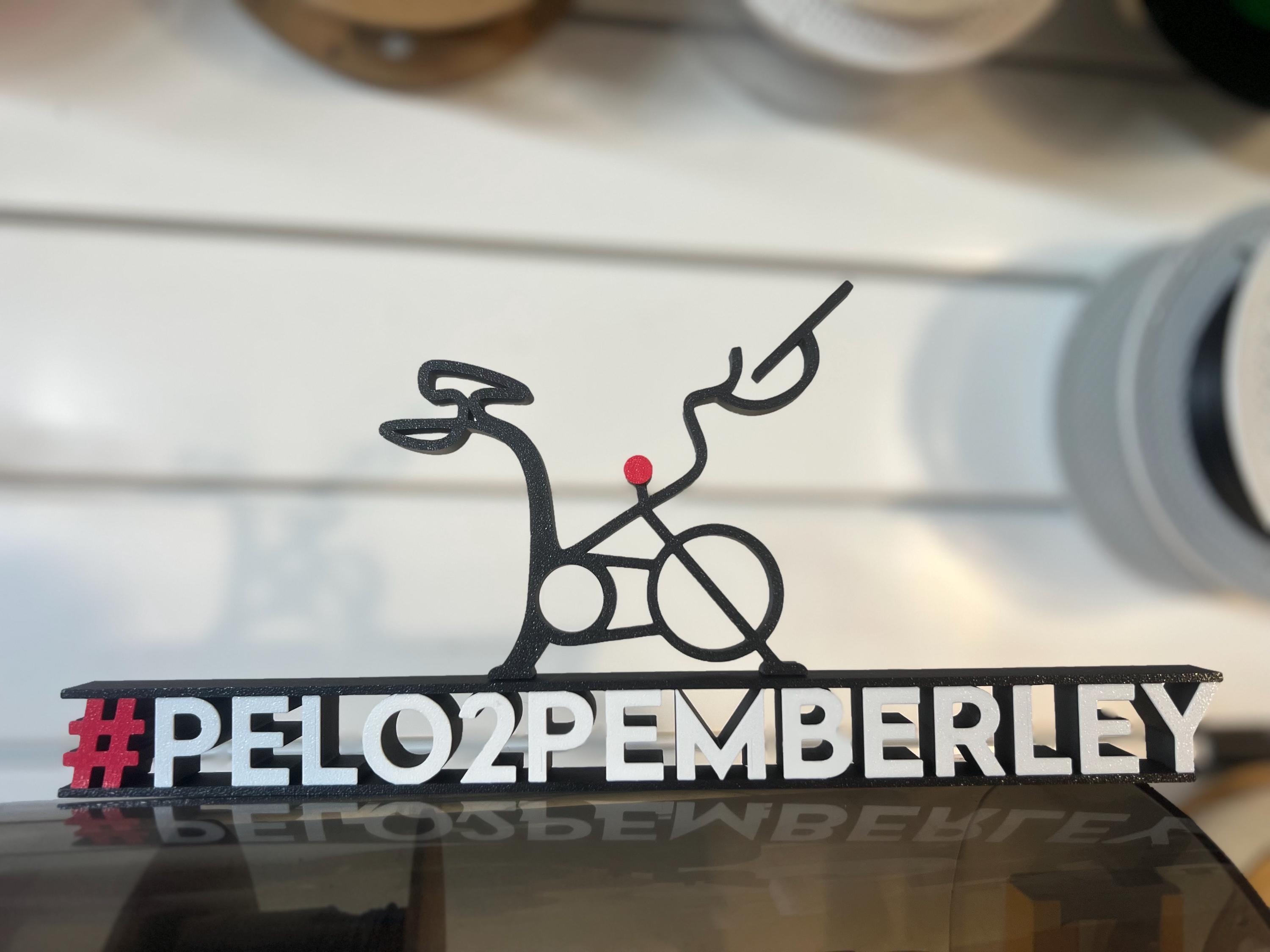 Custom Leaderboard Name Desktop for Peloton Fanatics. Personalized! ALL CAPS